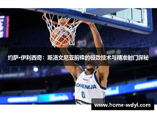 约萨·伊利西奇：斯洛文尼亚前锋的极致技术与精准射门探秘