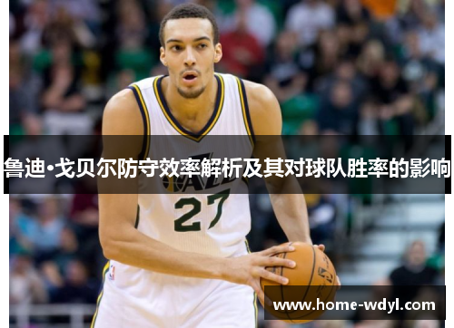 鲁迪·戈贝尔防守效率解析及其对球队胜率的影响
