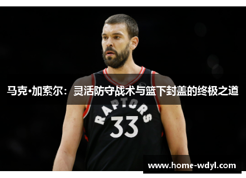 马克·加索尔：灵活防守战术与篮下封盖的终极之道