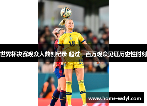 世界杯决赛观众人数创纪录 超过一百万观众见证历史性时刻