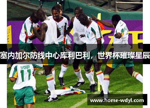 塞内加尔防线中心库利巴利，世界杯璀璨星辰