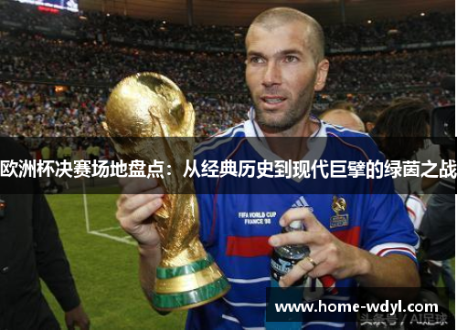 欧洲杯决赛场地盘点：从经典历史到现代巨擘的绿茵之战