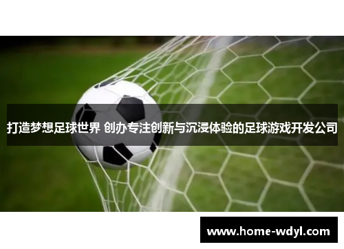 打造梦想足球世界 创办专注创新与沉浸体验的足球游戏开发公司