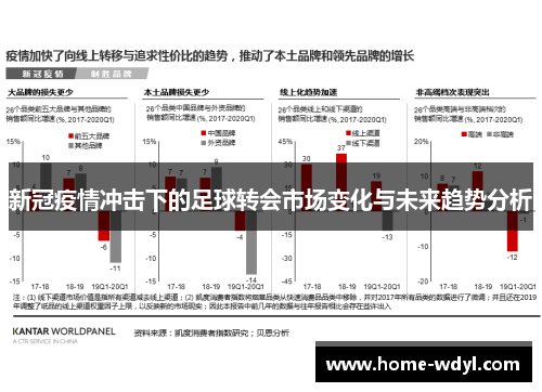 新冠疫情冲击下的足球转会市场变化与未来趋势分析