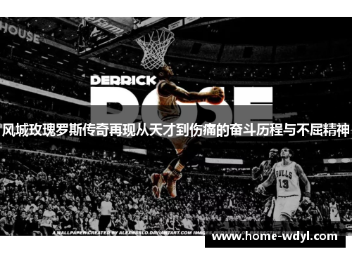 风城玫瑰罗斯传奇再现从天才到伤痛的奋斗历程与不屈精神