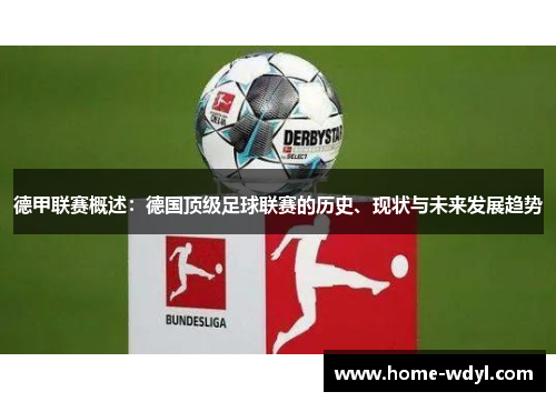 德甲联赛概述：德国顶级足球联赛的历史、现状与未来发展趋势