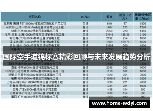 国际空手道锦标赛精彩回顾与未来发展趋势分析