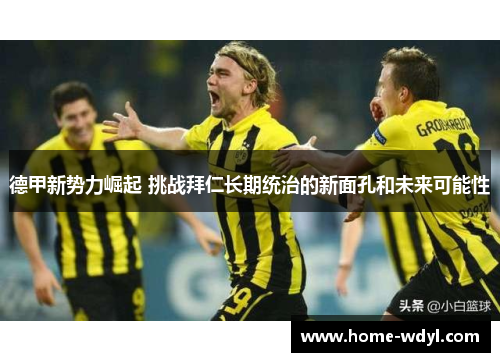 德甲新势力崛起 挑战拜仁长期统治的新面孔和未来可能性