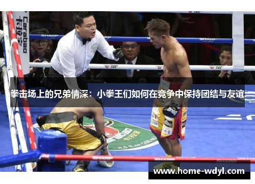 拳击场上的兄弟情深：小拳王们如何在竞争中保持团结与友谊