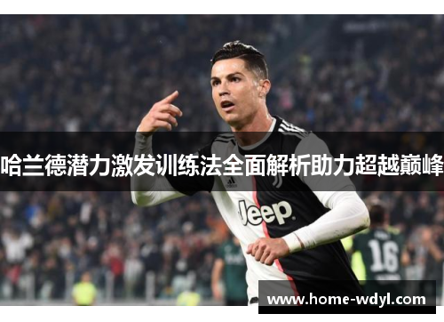 哈兰德潜力激发训练法全面解析助力超越巅峰