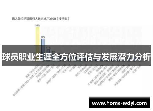 球员职业生涯全方位评估与发展潜力分析