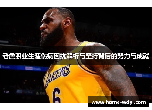 老詹职业生涯伤病困扰解析与坚持背后的努力与成就