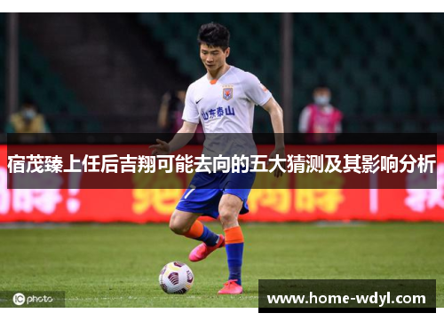 宿茂臻上任后吉翔可能去向的五大猜测及其影响分析