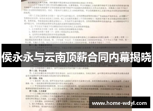 侯永永与云南顶薪合同内幕揭晓
