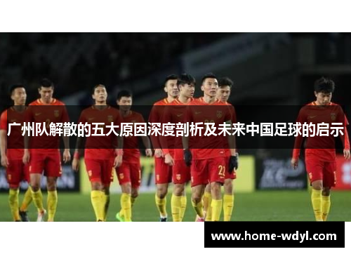 广州队解散的五大原因深度剖析及未来中国足球的启示