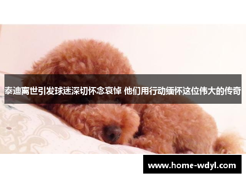 泰迪离世引发球迷深切怀念哀悼 他们用行动缅怀这位伟大的传奇