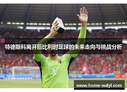 特德斯科离开后比利时足球的未来走向与挑战分析
