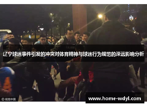 辽宁球迷事件引发的冲突对体育精神与球迷行为规范的深远影响分析