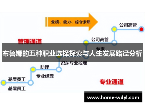 布鲁娜的五种职业选择探索与人生发展路径分析