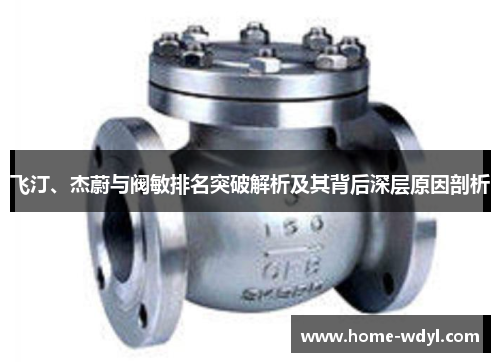 飞汀、杰蔚与阀敏排名突破解析及其背后深层原因剖析