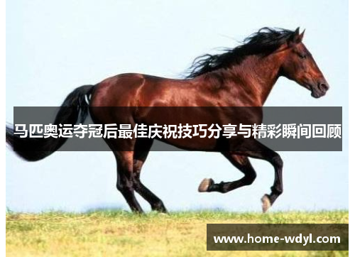 马匹奥运夺冠后最佳庆祝技巧分享与精彩瞬间回顾