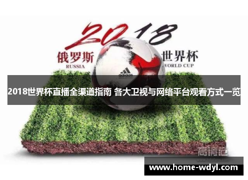 2018世界杯直播全渠道指南 各大卫视与网络平台观看方式一览
