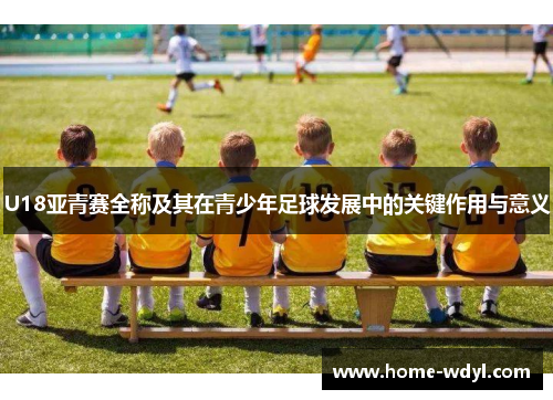 U18亚青赛全称及其在青少年足球发展中的关键作用与意义