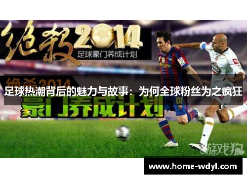足球热潮背后的魅力与故事：为何全球粉丝为之疯狂