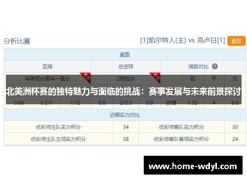 北美洲杯赛的独特魅力与面临的挑战：赛事发展与未来前景探讨