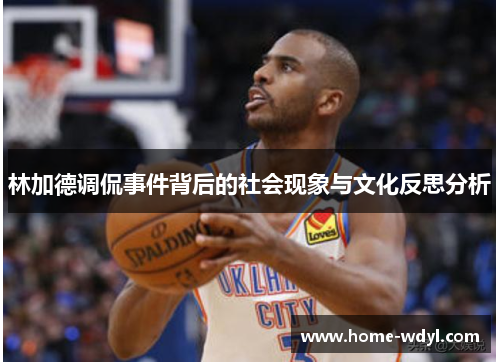 林加德调侃事件背后的社会现象与文化反思分析